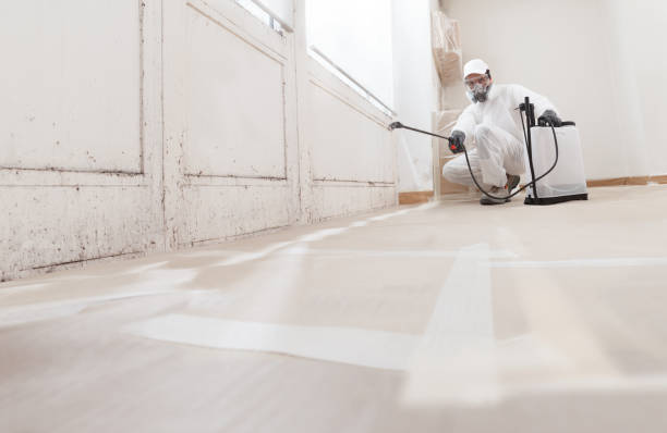 24/7 Emergency Mold Remediation experts in Carrboro, NC